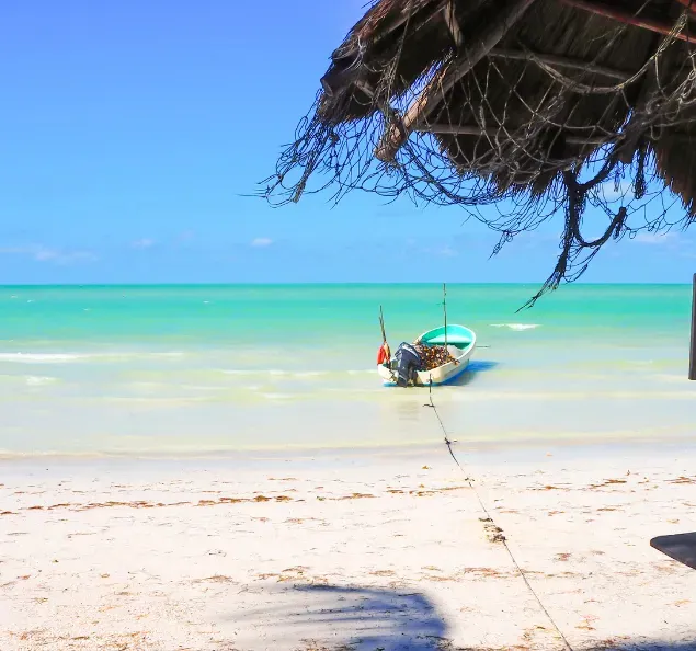 Tribal Adventures about image